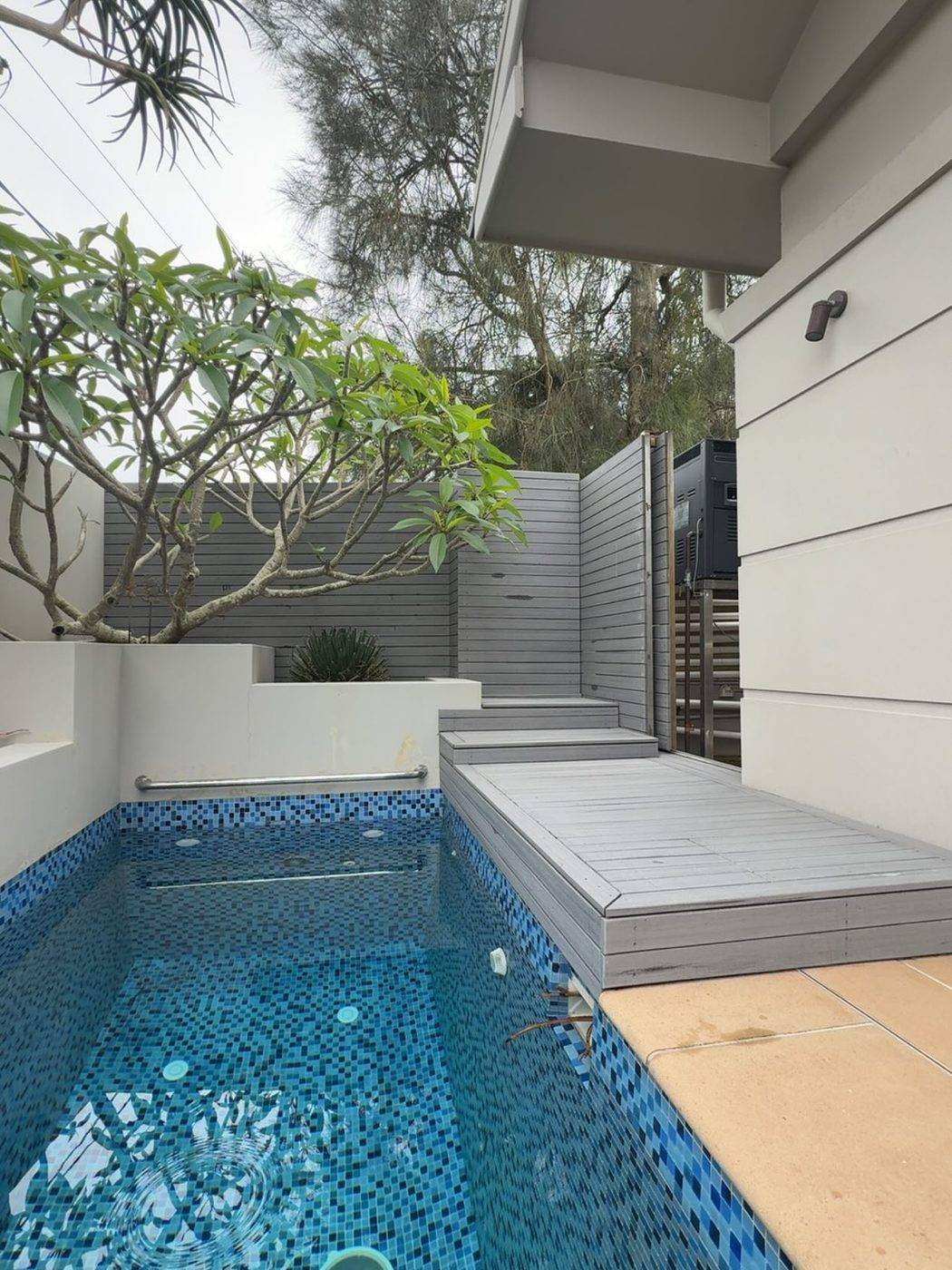 Plunge pool deck & screening — MWD Carpentry